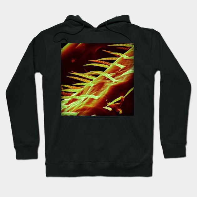 The Bees Knees - SEM of Bee Leg Hoodie by DiatomsATTACK